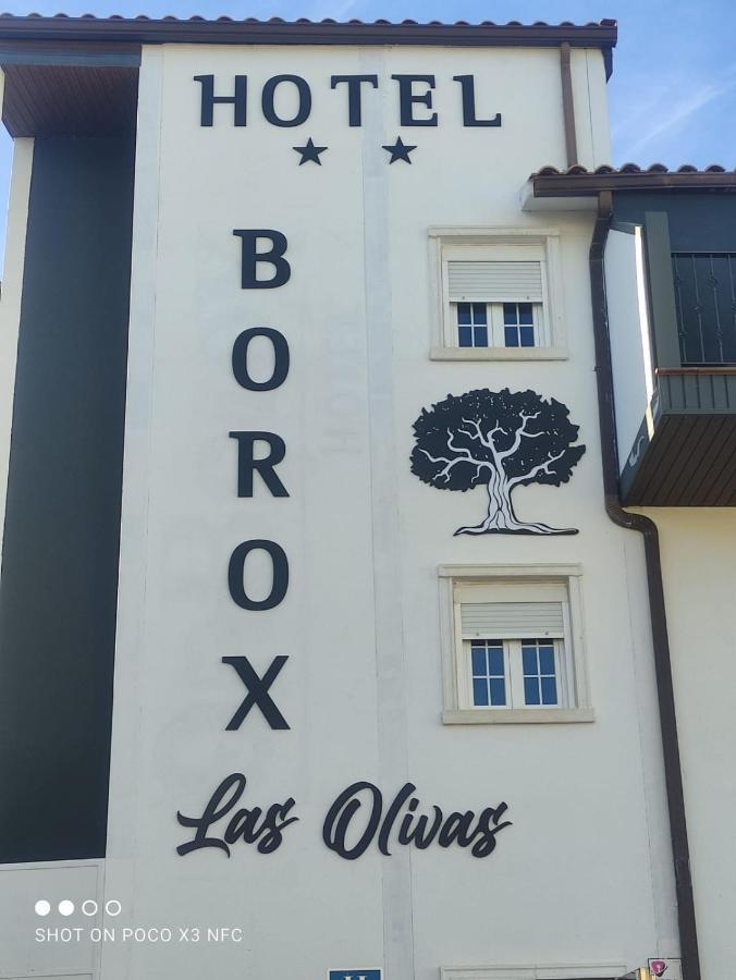 Las Olivas- Borox Aparthotel Seseña Nuevo Екстериор снимка