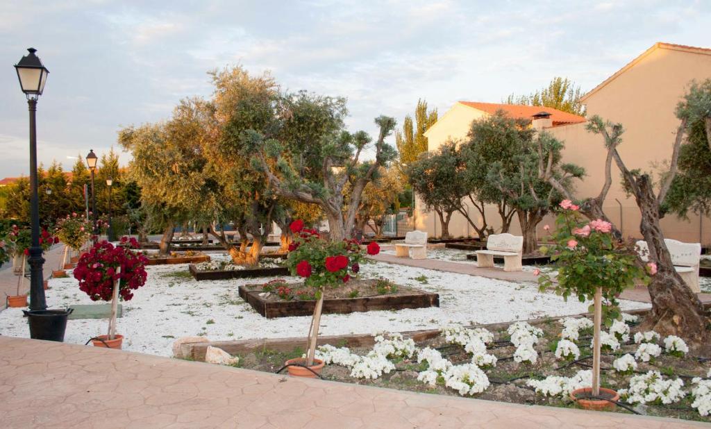 Las Olivas- Borox Aparthotel Seseña Nuevo Екстериор снимка